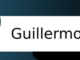 guillermo tell vaya cuento relatos breves nanorelatos microrelatos