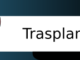 trasplante vaya cuento relatos breves nanorelatos microrelatos