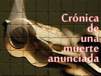 cronica de una muerte anunciada vaya cuento relatos breves nanorelatos microrelatos