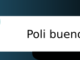poli bueno vaya cuento relatos breves nanorelatos microrelatos