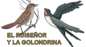 el ruiseñor y la golondrina vaya cuento relatos breves nanorrelatos microrrelatos