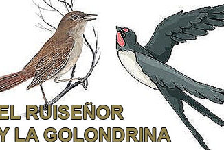 el ruiseñor y la golondrina vaya cuento relatos breves nanorrelatos microrrelatos