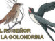 el ruiseñor y la golondrina vaya cuento relatos breves nanorrelatos microrrelatos