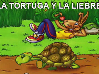la liebre y la tortuga vaya cuento relatos breves nanorrelatos microrrelatos