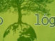 ecologico vaya cuento relatos breves nanorrelatos microrrelatos